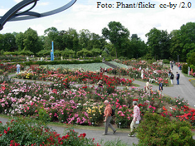 Sangerhausen Rosarium
