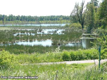 Schwenninger Moos