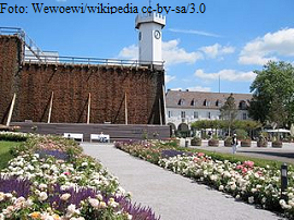 Rosengarten auf den Uhrturm in Bad Salzuflen