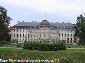 Schloss in Donaueschingen