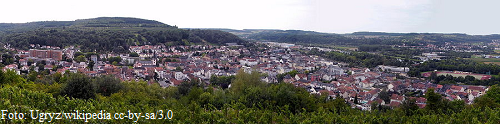 Blick auf Merzig