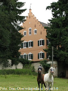 Schloss Hammel