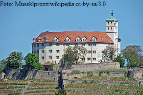 Vaihingen an der Enz, Burg Kaltenstein